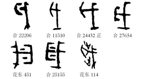解字拼音，解字五行属什么