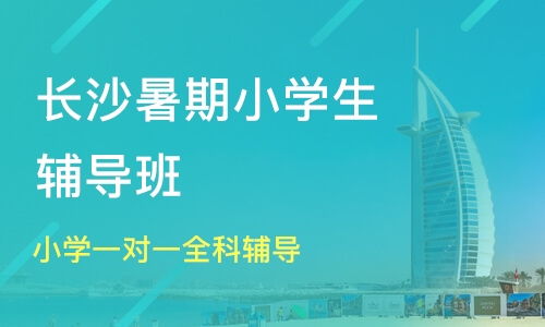 小学六年级奥数辅导，四年级奥数辅导
