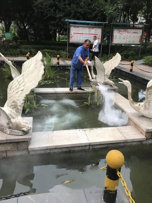 洗水池漏水怎样处理才能不漏，洗水池多少钱一个