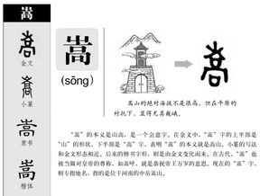 嵩的组词有哪些