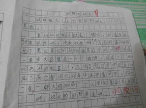 可爱的动物作文500字，可爱的动物作文400字四年级