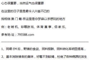 准确的近义词是什么