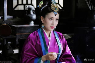 魏夫人原文_翻译及赏析