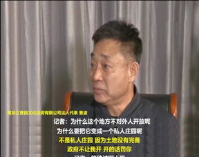 曹波的介绍