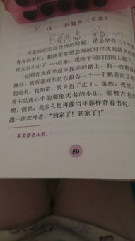 月是故乡明读后感50字