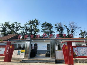 迷城的结局是什么意思?