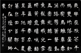 新隶体名词解释
