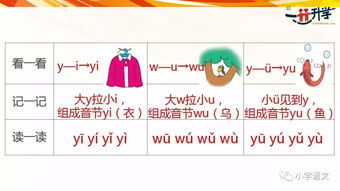 愿的拼音读法，愿望的愿的拼音