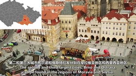 geography中文意思