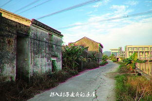板芙镇属于中山哪个区，板芙镇招聘信息