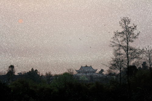 西风残照汉家陵阙什么意思，西风残照,衰草离披,满目荒凉,毫无生气的意思