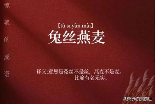 兔丝燕麦什么意思?