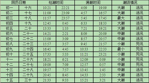 本地潮汐时间表