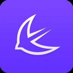 apus公司，apusic