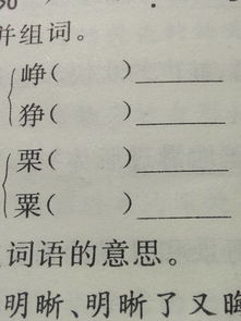 早的组词笔顺，影的组词