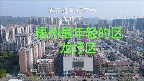 龙圩区属于哪个市，龙圩中学