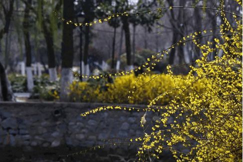 一什么春天填量词，一什么春天二年级下册