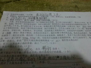 绽开的反义词三年级，留心的反义词