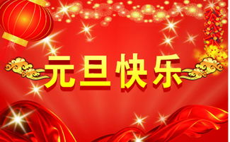 元旦节作文600字左右，元旦节作文100字