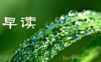 early是什么意思