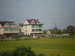 余新镇中心小学，余新镇镇长