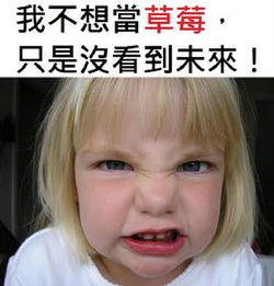台湾所指的「草莓族」是什么?