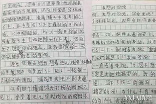 被遗忘的角落作文400字，被遗忘的角落作文结尾
