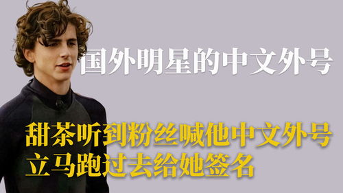 绰号的意思