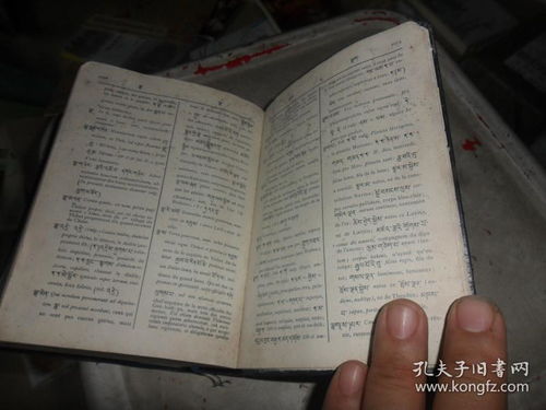 谁编写了中世纪最好的拉丁语词典和希腊语词典