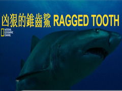 如何较好的记忆edgy和ragged这两个单词