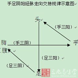 尊的组词，循的组词和部首