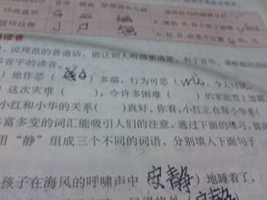 系鞋带拼音怎么写的，系的读音xi和ji怎么区分