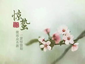 惊蛰古诗刘长卿，惊蛰古诗意思解释