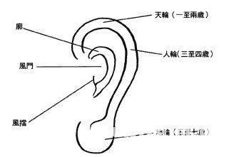 什么样的耳朵面相最好?大而厚耳相最好?
