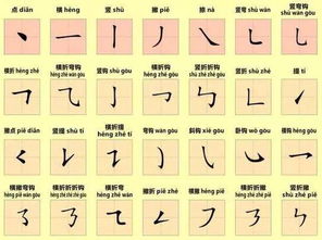 们的笔顺笔画顺序怎么写的，你的笔顺笔画顺序田字格