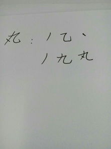 丸的笔顺笔画，观的笔顺拼音