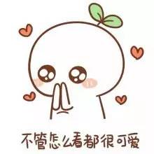 萌是啥意思?
