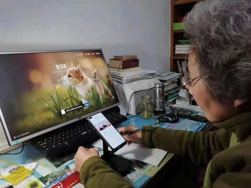 颤颤巍巍的拼音和意思，颤颤巍巍的拼音读音