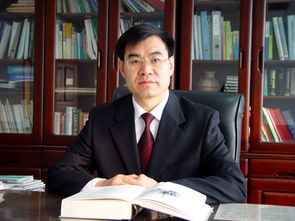 academician是什么意思中文翻译，academicians 翻译