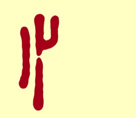 带竖心旁的字有哪些成语，带竖心旁的字有哪些字旁的字