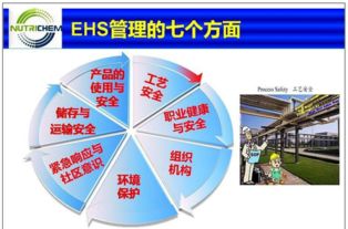 EHS是什么意思?