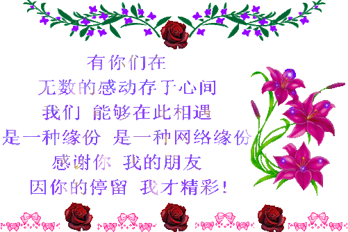 缘份是什么意思?