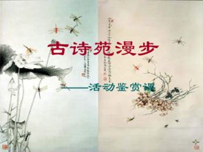 古诗苑漫步活动形式，古诗苑漫步手抄报初二