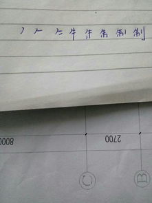 怎样制作笔顺描红?