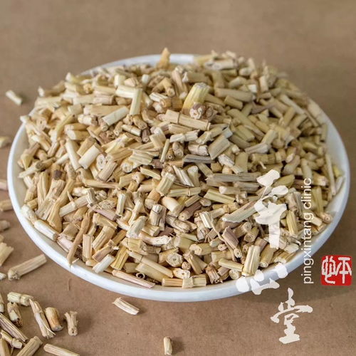 狼尾草和白茅的区别