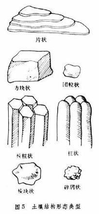 土壤结构示意图，土壤结构有哪些