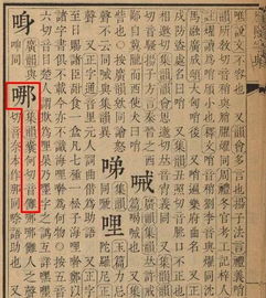 咒术回战宿傩的读音，傩的读音是什么意思和含义