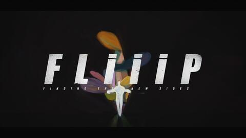 flight，flip