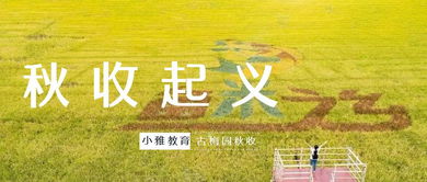 撒欢是什么意思