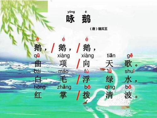 曲项向天歌的拼音，曲项向天歌里的曲字读音